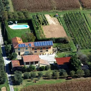 Il Chicco D'oro Apartment